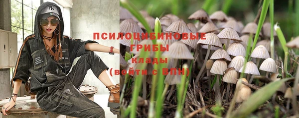 ПСИЛОЦИБИНОВЫЕ ГРИБЫ Покачи
