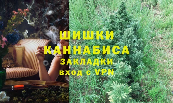 ПСИЛОЦИБИНОВЫЕ ГРИБЫ Покачи