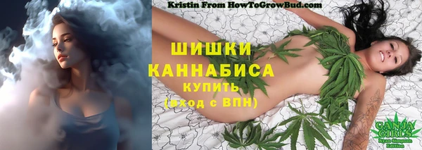 ПСИЛОЦИБИНОВЫЕ ГРИБЫ Покачи